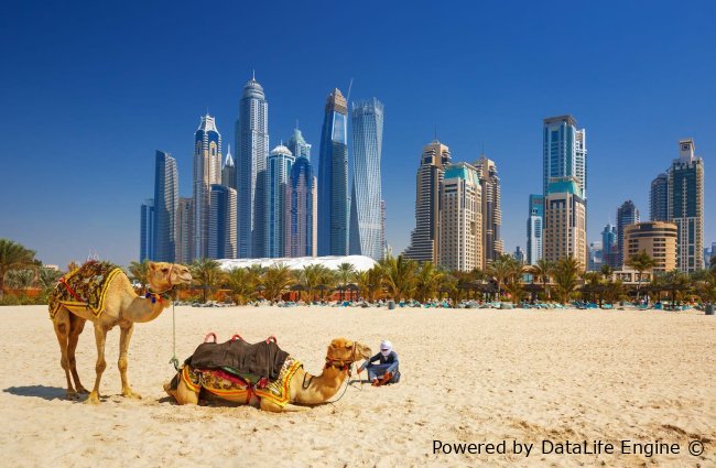 Dubay